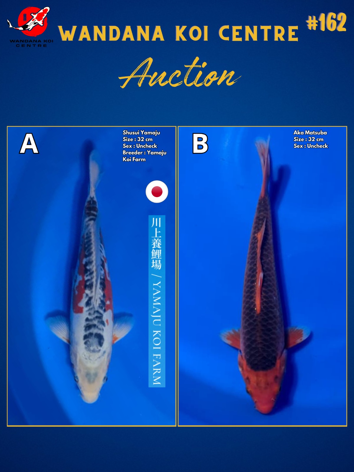 Lelang Koi Online, Jual Beli Ikan Koi, Pasar Koi Terbaik, Agen Lelang Koi, Penawaran Koi Berkualitas, Harga Jual Koi, Lelang Ikan Koi Import, Beli Koi Online, Jual Koi Murah, Koi Showroom, Penjual Koi Terpercaya, Lelang Koi Jakarta, Jual Koi Lokal, Koi Kualitas Unggul, Harga Terbaik Koi, Jual Koi Indukan, Lelang Ikan Hias Koi, Pasar Koi Indonesia, Beli Koi Berkualitas Tinggi, Koi Farm Terbesar, Jual Beli Koi Impor, Lelang Ikan Koi Kualitas Premium, Daftar Harga Koi Terbaru, Pusat Jual Beli Koi, Info Lelang Koi Hari Ini.
