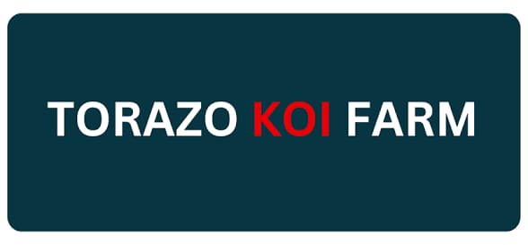 Lelang Koi Online, Jual Beli Ikan Koi, Pasar Koi Terbaik, Agen Lelang Koi, Penawaran Koi Berkualitas, Harga Jual Koi, Lelang Ikan Koi Import, Beli Koi Online, Jual Koi Murah, Koi Showroom, Penjual Koi Terpercaya, Lelang Koi Jakarta, Jual Koi Lokal, Koi Kualitas Unggul, Harga Terbaik Koi, Jual Koi Indukan, Lelang Ikan Hias Koi, Pasar Koi Indonesia, Beli Koi Berkualitas Tinggi, Koi Farm Terbesar, Jual Beli Koi Impor, Lelang Ikan Koi Kualitas Premium, Daftar Harga Koi Terbaru, Pusat Jual Beli Koi, Info Lelang Koi Hari Ini.