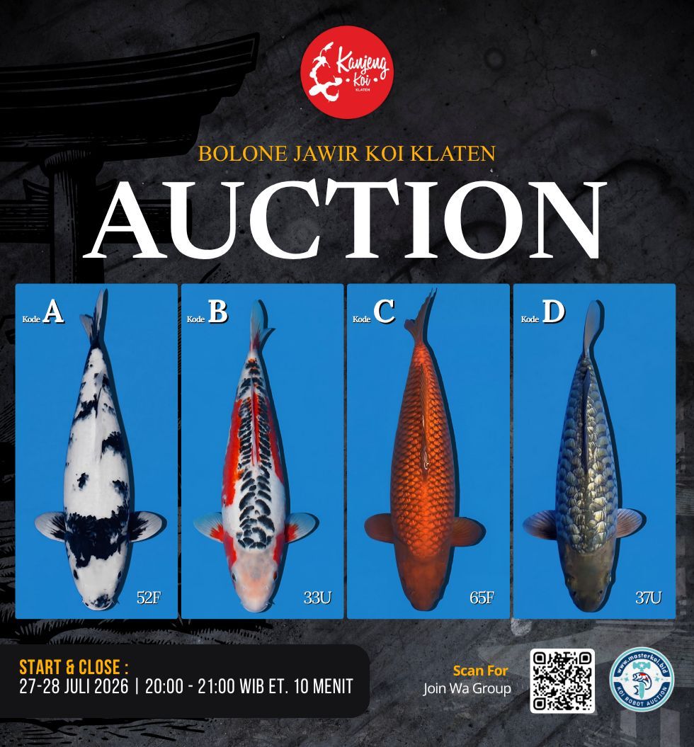Lelang Koi Online, Jual Beli Ikan Koi, Pasar Koi Terbaik, Agen Lelang Koi, Penawaran Koi Berkualitas, Harga Jual Koi, Lelang Ikan Koi Import, Beli Koi Online, Jual Koi Murah, Koi Showroom, Penjual Koi Terpercaya, Lelang Koi Jakarta, Jual Koi Lokal, Koi Kualitas Unggul, Harga Terbaik Koi, Jual Koi Indukan, Lelang Ikan Hias Koi, Pasar Koi Indonesia, Beli Koi Berkualitas Tinggi, Koi Farm Terbesar, Jual Beli Koi Impor, Lelang Ikan Koi Kualitas Premium, Daftar Harga Koi Terbaru, Pusat Jual Beli Koi, Info Lelang Koi Hari Ini.