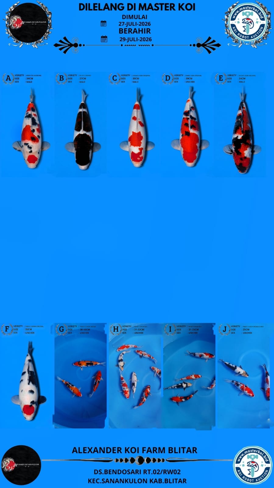 Lelang Koi Online, Jual Beli Ikan Koi, Pasar Koi Terbaik, Agen Lelang Koi, Penawaran Koi Berkualitas, Harga Jual Koi, Lelang Ikan Koi Import, Beli Koi Online, Jual Koi Murah, Koi Showroom, Penjual Koi Terpercaya, Lelang Koi Jakarta, Jual Koi Lokal, Koi Kualitas Unggul, Harga Terbaik Koi, Jual Koi Indukan, Lelang Ikan Hias Koi, Pasar Koi Indonesia, Beli Koi Berkualitas Tinggi, Koi Farm Terbesar, Jual Beli Koi Impor, Lelang Ikan Koi Kualitas Premium, Daftar Harga Koi Terbaru, Pusat Jual Beli Koi, Info Lelang Koi Hari Ini.
