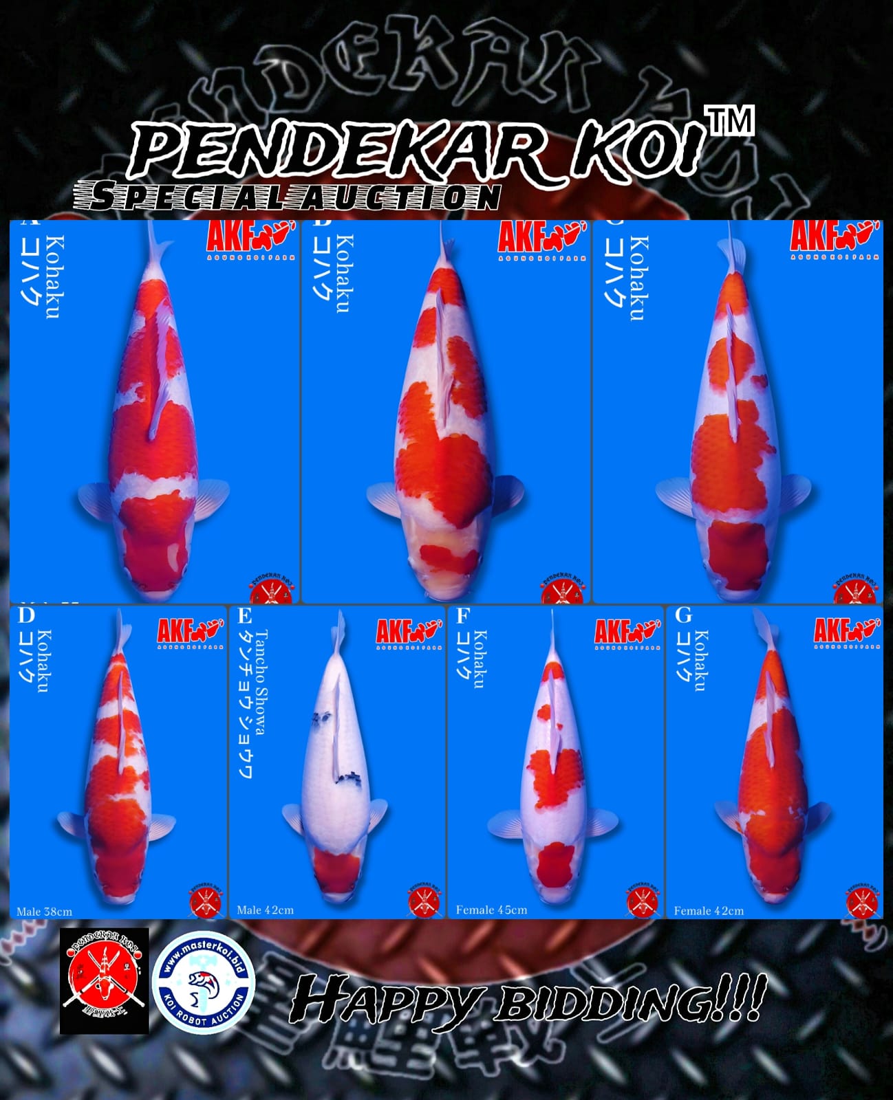 Lelang Koi Online, Jual Beli Ikan Koi, Pasar Koi Terbaik, Agen Lelang Koi, Penawaran Koi Berkualitas, Harga Jual Koi, Lelang Ikan Koi Import, Beli Koi Online, Jual Koi Murah, Koi Showroom, Penjual Koi Terpercaya, Lelang Koi Jakarta, Jual Koi Lokal, Koi Kualitas Unggul, Harga Terbaik Koi, Jual Koi Indukan, Lelang Ikan Hias Koi, Pasar Koi Indonesia, Beli Koi Berkualitas Tinggi, Koi Farm Terbesar, Jual Beli Koi Impor, Lelang Ikan Koi Kualitas Premium, Daftar Harga Koi Terbaru, Pusat Jual Beli Koi, Info Lelang Koi Hari Ini.