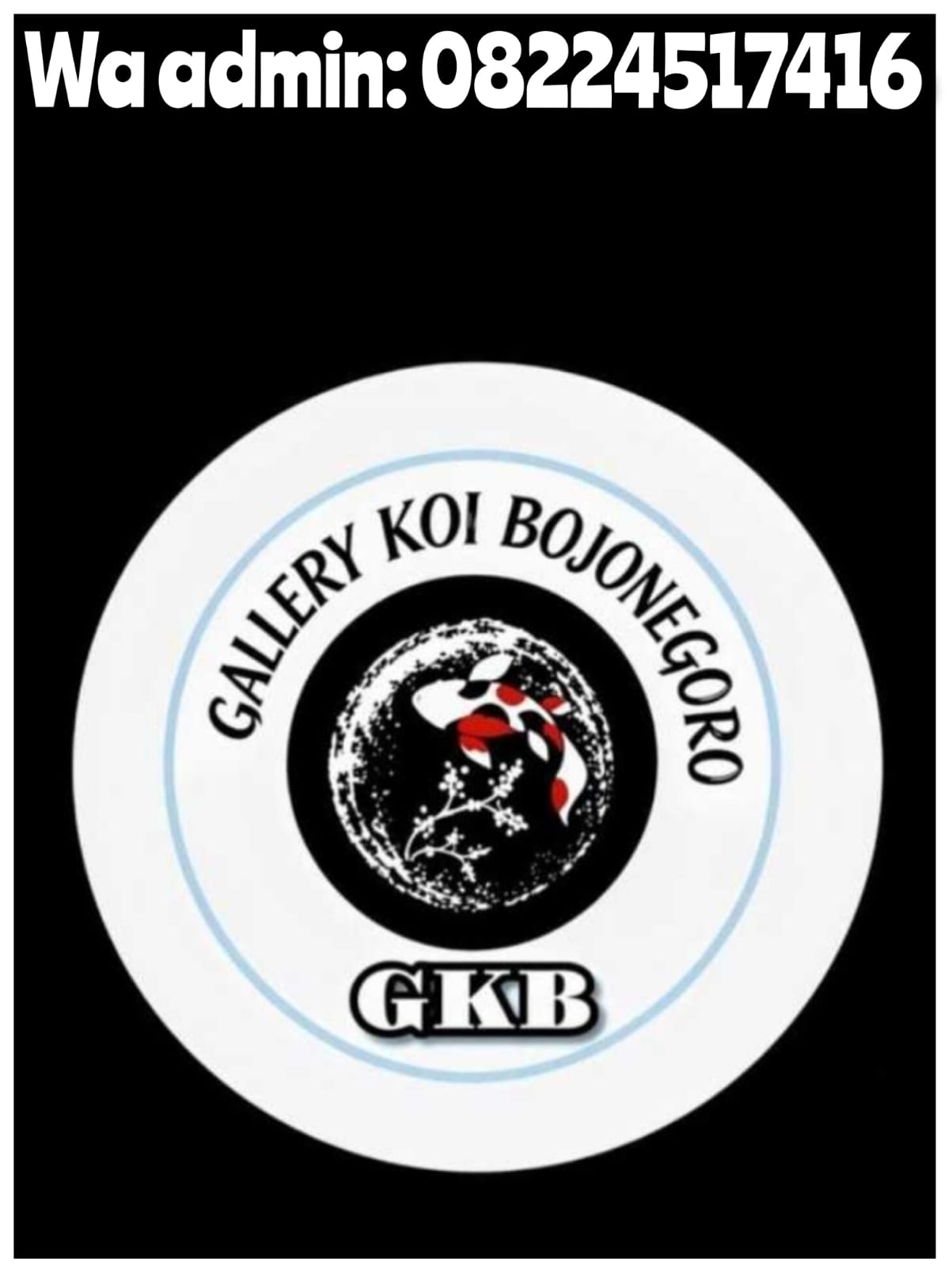 Lelang Koi Online, Jual Beli Ikan Koi, Pasar Koi Terbaik, Agen Lelang Koi, Penawaran Koi Berkualitas, Harga Jual Koi, Lelang Ikan Koi Import, Beli Koi Online, Jual Koi Murah, Koi Showroom, Penjual Koi Terpercaya, Lelang Koi Jakarta, Jual Koi Lokal, Koi Kualitas Unggul, Harga Terbaik Koi, Jual Koi Indukan, Lelang Ikan Hias Koi, Pasar Koi Indonesia, Beli Koi Berkualitas Tinggi, Koi Farm Terbesar, Jual Beli Koi Impor, Lelang Ikan Koi Kualitas Premium, Daftar Harga Koi Terbaru, Pusat Jual Beli Koi, Info Lelang Koi Hari Ini.