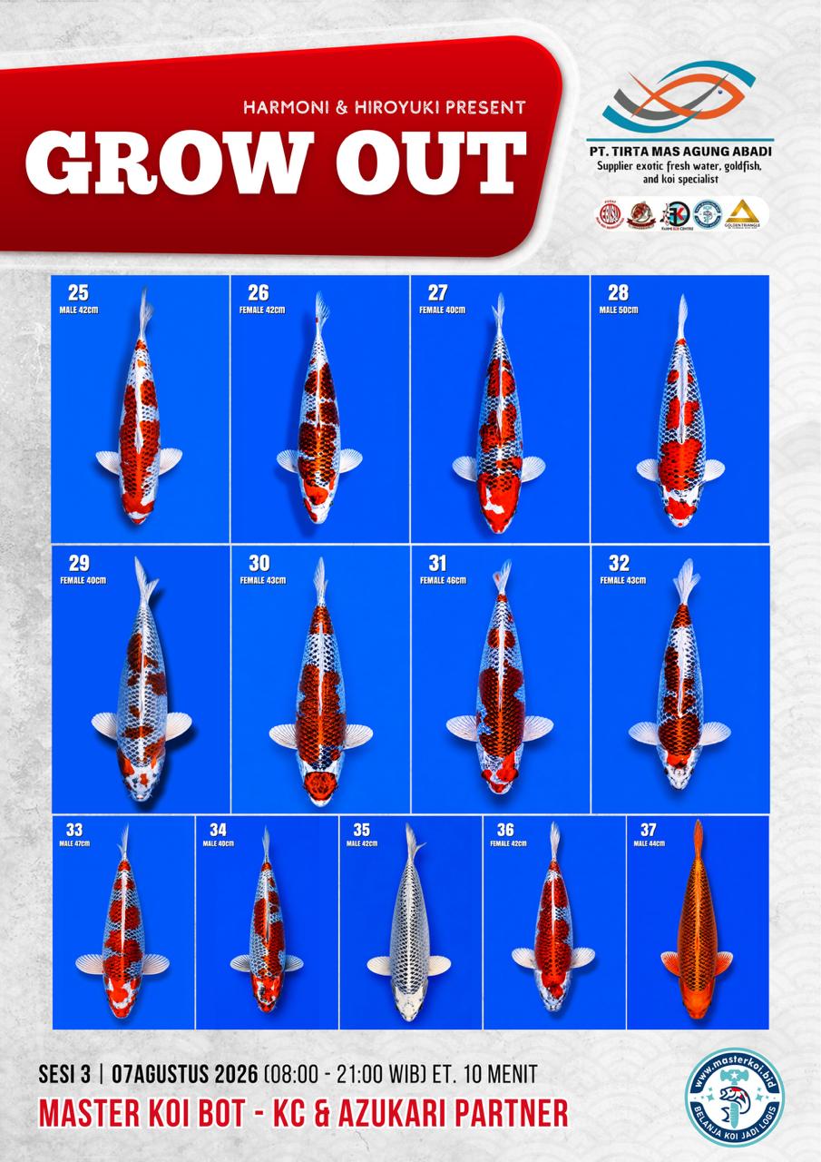 Lelang Koi Online, Jual Beli Ikan Koi, Pasar Koi Terbaik, Agen Lelang Koi, Penawaran Koi Berkualitas, Harga Jual Koi, Lelang Ikan Koi Import, Beli Koi Online, Jual Koi Murah, Koi Showroom, Penjual Koi Terpercaya, Lelang Koi Jakarta, Jual Koi Lokal, Koi Kualitas Unggul, Harga Terbaik Koi, Jual Koi Indukan, Lelang Ikan Hias Koi, Pasar Koi Indonesia, Beli Koi Berkualitas Tinggi, Koi Farm Terbesar, Jual Beli Koi Impor, Lelang Ikan Koi Kualitas Premium, Daftar Harga Koi Terbaru, Pusat Jual Beli Koi, Info Lelang Koi Hari Ini.