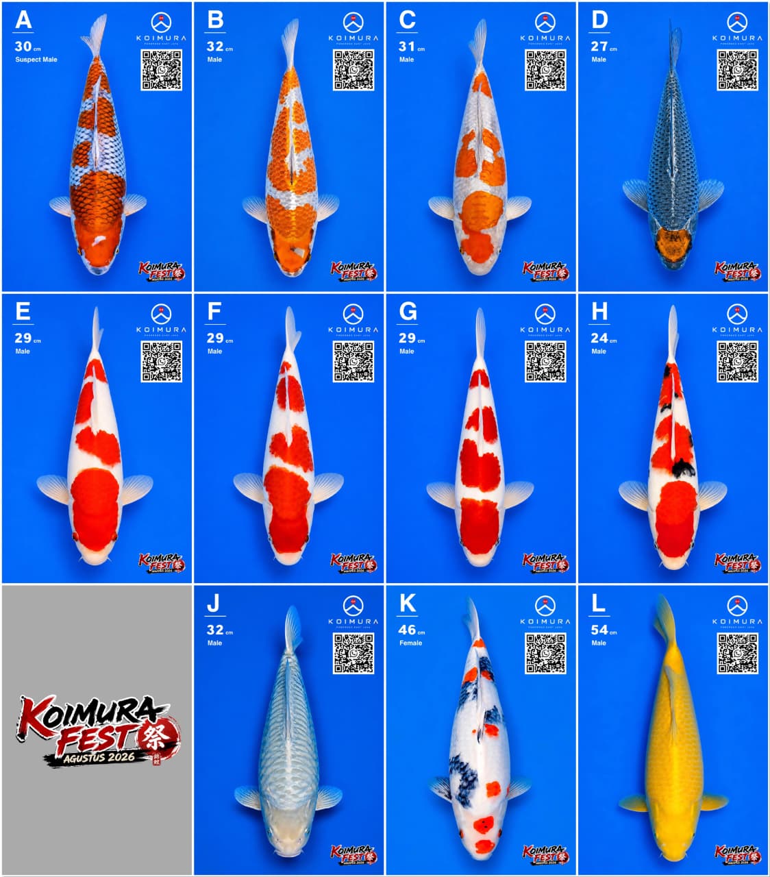 Lelang Koi Online, Jual Beli Ikan Koi, Pasar Koi Terbaik, Agen Lelang Koi, Penawaran Koi Berkualitas, Harga Jual Koi, Lelang Ikan Koi Import, Beli Koi Online, Jual Koi Murah, Koi Showroom, Penjual Koi Terpercaya, Lelang Koi Jakarta, Jual Koi Lokal, Koi Kualitas Unggul, Harga Terbaik Koi, Jual Koi Indukan, Lelang Ikan Hias Koi, Pasar Koi Indonesia, Beli Koi Berkualitas Tinggi, Koi Farm Terbesar, Jual Beli Koi Impor, Lelang Ikan Koi Kualitas Premium, Daftar Harga Koi Terbaru, Pusat Jual Beli Koi, Info Lelang Koi Hari Ini.