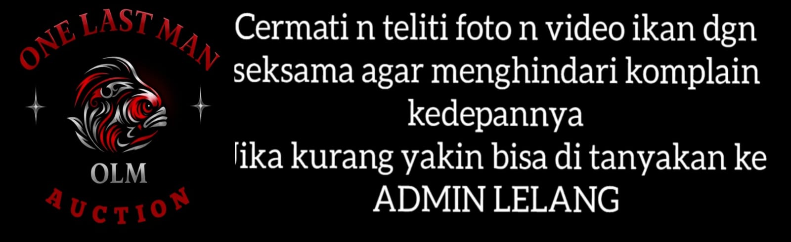 Lelang Koi Online, Jual Beli Ikan Koi, Pasar Koi Terbaik, Agen Lelang Koi, Penawaran Koi Berkualitas, Harga Jual Koi, Lelang Ikan Koi Import, Beli Koi Online, Jual Koi Murah, Koi Showroom, Penjual Koi Terpercaya, Lelang Koi Jakarta, Jual Koi Lokal, Koi Kualitas Unggul, Harga Terbaik Koi, Jual Koi Indukan, Lelang Ikan Hias Koi, Pasar Koi Indonesia, Beli Koi Berkualitas Tinggi, Koi Farm Terbesar, Jual Beli Koi Impor, Lelang Ikan Koi Kualitas Premium, Daftar Harga Koi Terbaru, Pusat Jual Beli Koi, Info Lelang Koi Hari Ini.