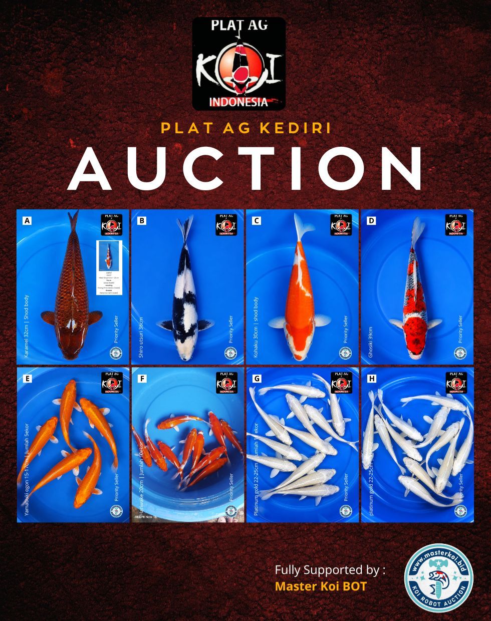 Lelang Koi Online, Jual Beli Ikan Koi, Pasar Koi Terbaik, Agen Lelang Koi, Penawaran Koi Berkualitas, Harga Jual Koi, Lelang Ikan Koi Import, Beli Koi Online, Jual Koi Murah, Koi Showroom, Penjual Koi Terpercaya, Lelang Koi Jakarta, Jual Koi Lokal, Koi Kualitas Unggul, Harga Terbaik Koi, Jual Koi Indukan, Lelang Ikan Hias Koi, Pasar Koi Indonesia, Beli Koi Berkualitas Tinggi, Koi Farm Terbesar, Jual Beli Koi Impor, Lelang Ikan Koi Kualitas Premium, Daftar Harga Koi Terbaru, Pusat Jual Beli Koi, Info Lelang Koi Hari Ini.