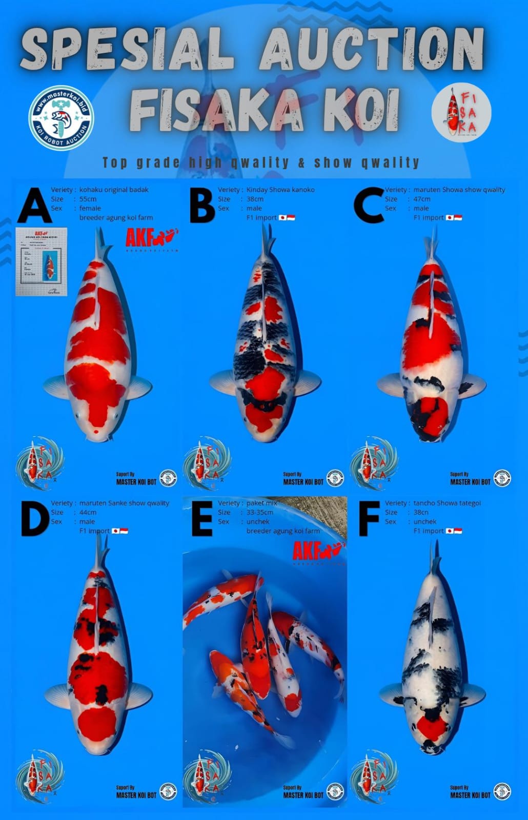 Lelang Koi Online, Jual Beli Ikan Koi, Pasar Koi Terbaik, Agen Lelang Koi, Penawaran Koi Berkualitas, Harga Jual Koi, Lelang Ikan Koi Import, Beli Koi Online, Jual Koi Murah, Koi Showroom, Penjual Koi Terpercaya, Lelang Koi Jakarta, Jual Koi Lokal, Koi Kualitas Unggul, Harga Terbaik Koi, Jual Koi Indukan, Lelang Ikan Hias Koi, Pasar Koi Indonesia, Beli Koi Berkualitas Tinggi, Koi Farm Terbesar, Jual Beli Koi Impor, Lelang Ikan Koi Kualitas Premium, Daftar Harga Koi Terbaru, Pusat Jual Beli Koi, Info Lelang Koi Hari Ini.