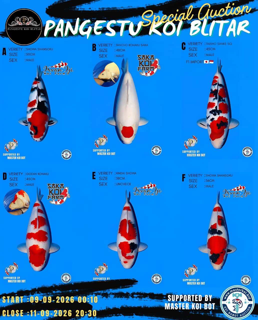 Lelang Koi Online, Jual Beli Ikan Koi, Pasar Koi Terbaik, Agen Lelang Koi, Penawaran Koi Berkualitas, Harga Jual Koi, Lelang Ikan Koi Import, Beli Koi Online, Jual Koi Murah, Koi Showroom, Penjual Koi Terpercaya, Lelang Koi Jakarta, Jual Koi Lokal, Koi Kualitas Unggul, Harga Terbaik Koi, Jual Koi Indukan, Lelang Ikan Hias Koi, Pasar Koi Indonesia, Beli Koi Berkualitas Tinggi, Koi Farm Terbesar, Jual Beli Koi Impor, Lelang Ikan Koi Kualitas Premium, Daftar Harga Koi Terbaru, Pusat Jual Beli Koi, Info Lelang Koi Hari Ini.
