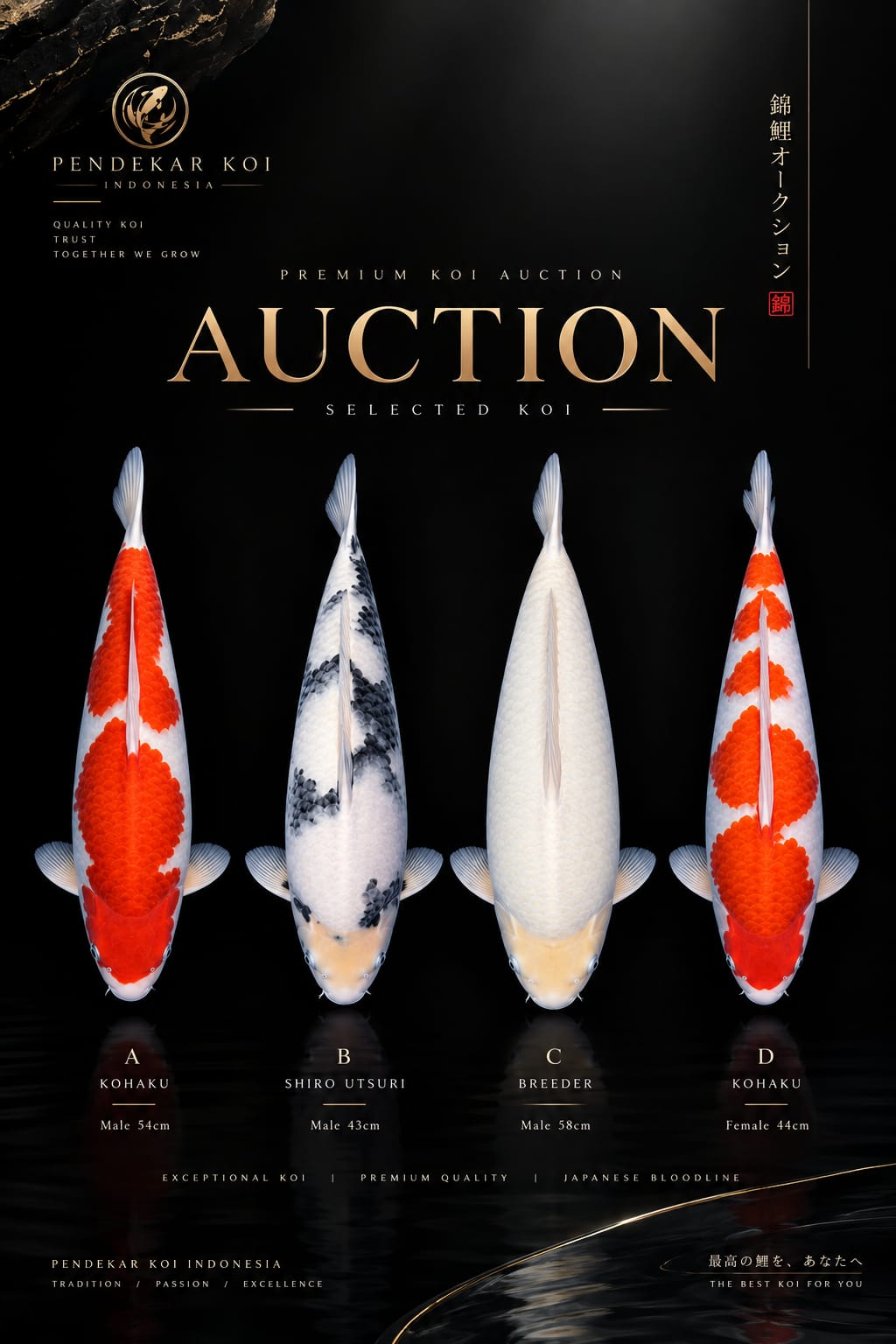 Lelang Koi Online, Jual Beli Ikan Koi, Pasar Koi Terbaik, Agen Lelang Koi, Penawaran Koi Berkualitas, Harga Jual Koi, Lelang Ikan Koi Import, Beli Koi Online, Jual Koi Murah, Koi Showroom, Penjual Koi Terpercaya, Lelang Koi Jakarta, Jual Koi Lokal, Koi Kualitas Unggul, Harga Terbaik Koi, Jual Koi Indukan, Lelang Ikan Hias Koi, Pasar Koi Indonesia, Beli Koi Berkualitas Tinggi, Koi Farm Terbesar, Jual Beli Koi Impor, Lelang Ikan Koi Kualitas Premium, Daftar Harga Koi Terbaru, Pusat Jual Beli Koi, Info Lelang Koi Hari Ini.