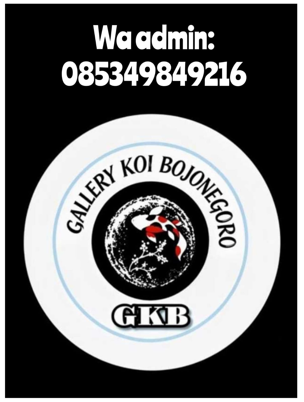 Lelang Koi Online, Jual Beli Ikan Koi, Pasar Koi Terbaik, Agen Lelang Koi, Penawaran Koi Berkualitas, Harga Jual Koi, Lelang Ikan Koi Import, Beli Koi Online, Jual Koi Murah, Koi Showroom, Penjual Koi Terpercaya, Lelang Koi Jakarta, Jual Koi Lokal, Koi Kualitas Unggul, Harga Terbaik Koi, Jual Koi Indukan, Lelang Ikan Hias Koi, Pasar Koi Indonesia, Beli Koi Berkualitas Tinggi, Koi Farm Terbesar, Jual Beli Koi Impor, Lelang Ikan Koi Kualitas Premium, Daftar Harga Koi Terbaru, Pusat Jual Beli Koi, Info Lelang Koi Hari Ini.