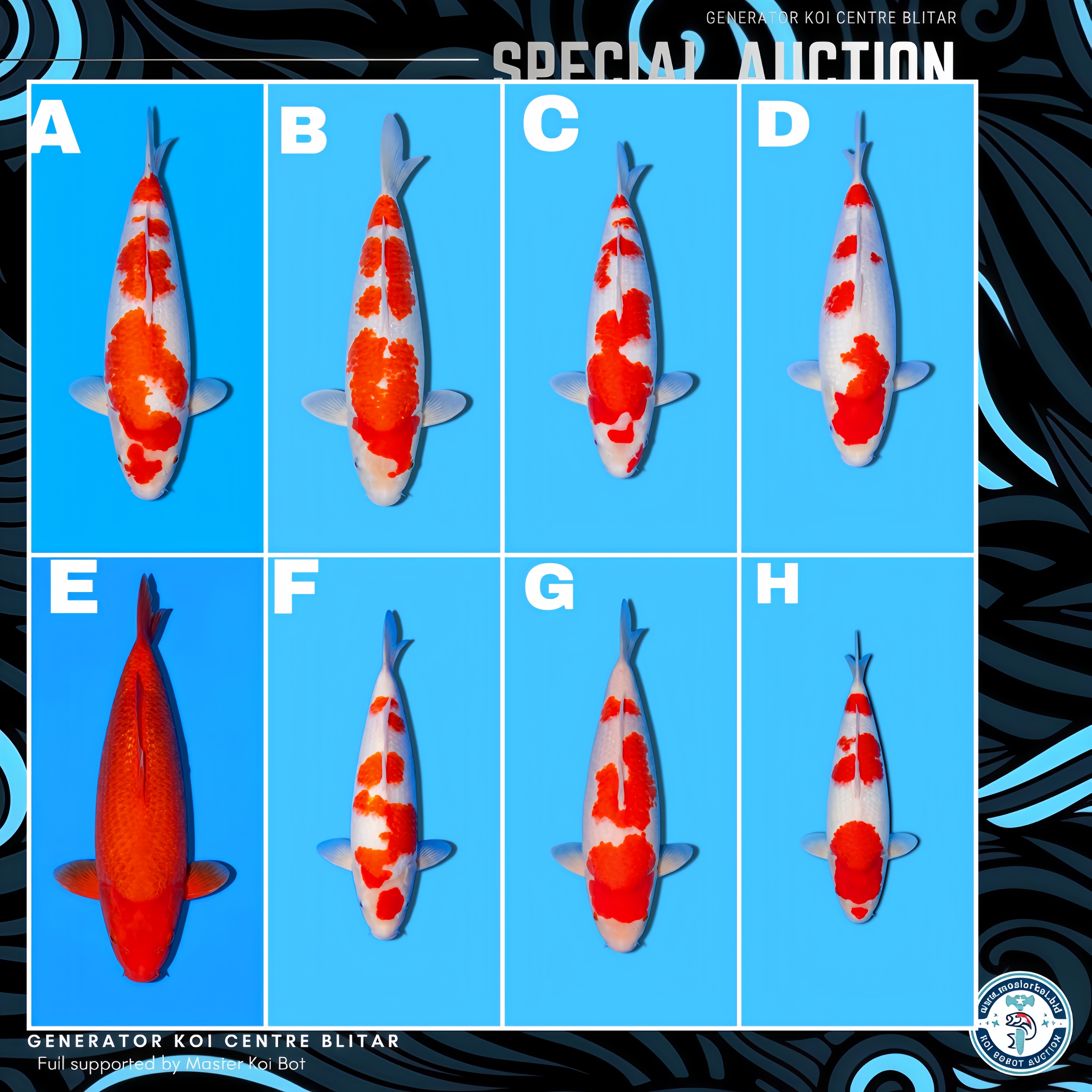 Lelang Koi Online, Jual Beli Ikan Koi, Pasar Koi Terbaik, Agen Lelang Koi, Penawaran Koi Berkualitas, Harga Jual Koi, Lelang Ikan Koi Import, Beli Koi Online, Jual Koi Murah, Koi Showroom, Penjual Koi Terpercaya, Lelang Koi Jakarta, Jual Koi Lokal, Koi Kualitas Unggul, Harga Terbaik Koi, Jual Koi Indukan, Lelang Ikan Hias Koi, Pasar Koi Indonesia, Beli Koi Berkualitas Tinggi, Koi Farm Terbesar, Jual Beli Koi Impor, Lelang Ikan Koi Kualitas Premium, Daftar Harga Koi Terbaru, Pusat Jual Beli Koi, Info Lelang Koi Hari Ini.