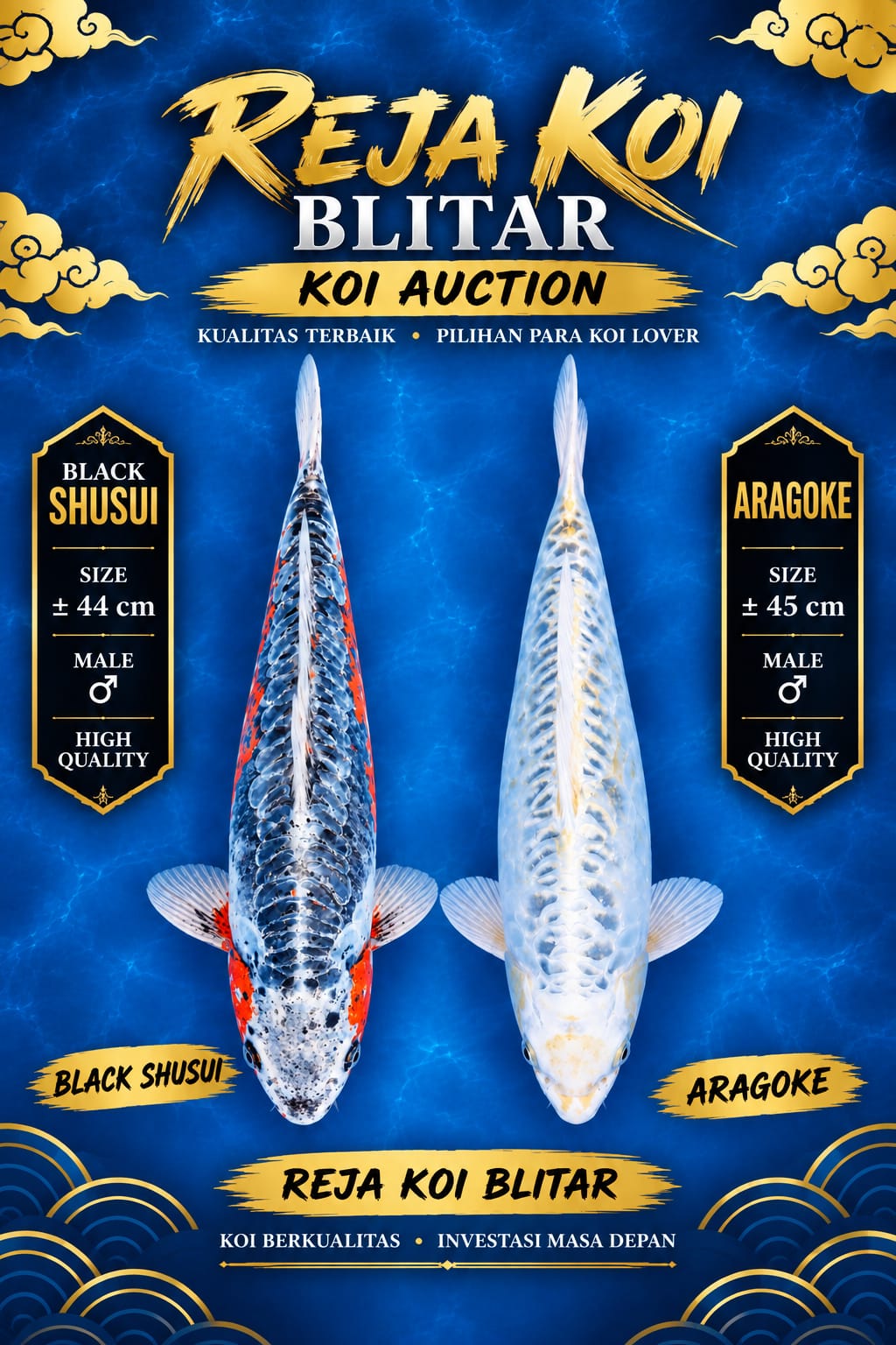 Lelang Koi Online, Jual Beli Ikan Koi, Pasar Koi Terbaik, Agen Lelang Koi, Penawaran Koi Berkualitas, Harga Jual Koi, Lelang Ikan Koi Import, Beli Koi Online, Jual Koi Murah, Koi Showroom, Penjual Koi Terpercaya, Lelang Koi Jakarta, Jual Koi Lokal, Koi Kualitas Unggul, Harga Terbaik Koi, Jual Koi Indukan, Lelang Ikan Hias Koi, Pasar Koi Indonesia, Beli Koi Berkualitas Tinggi, Koi Farm Terbesar, Jual Beli Koi Impor, Lelang Ikan Koi Kualitas Premium, Daftar Harga Koi Terbaru, Pusat Jual Beli Koi, Info Lelang Koi Hari Ini.