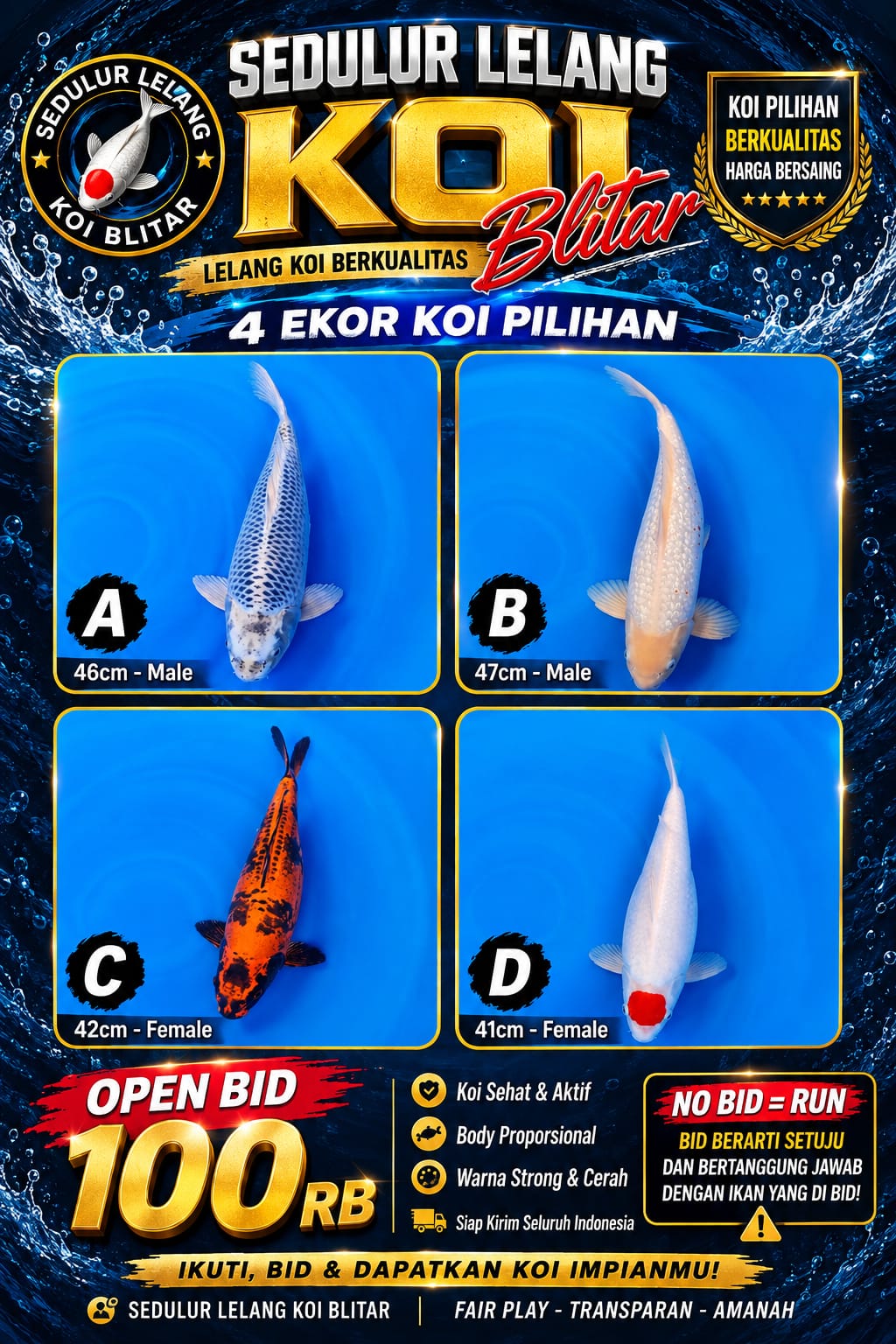 Lelang Koi Online, Jual Beli Ikan Koi, Pasar Koi Terbaik, Agen Lelang Koi, Penawaran Koi Berkualitas, Harga Jual Koi, Lelang Ikan Koi Import, Beli Koi Online, Jual Koi Murah, Koi Showroom, Penjual Koi Terpercaya, Lelang Koi Jakarta, Jual Koi Lokal, Koi Kualitas Unggul, Harga Terbaik Koi, Jual Koi Indukan, Lelang Ikan Hias Koi, Pasar Koi Indonesia, Beli Koi Berkualitas Tinggi, Koi Farm Terbesar, Jual Beli Koi Impor, Lelang Ikan Koi Kualitas Premium, Daftar Harga Koi Terbaru, Pusat Jual Beli Koi, Info Lelang Koi Hari Ini.