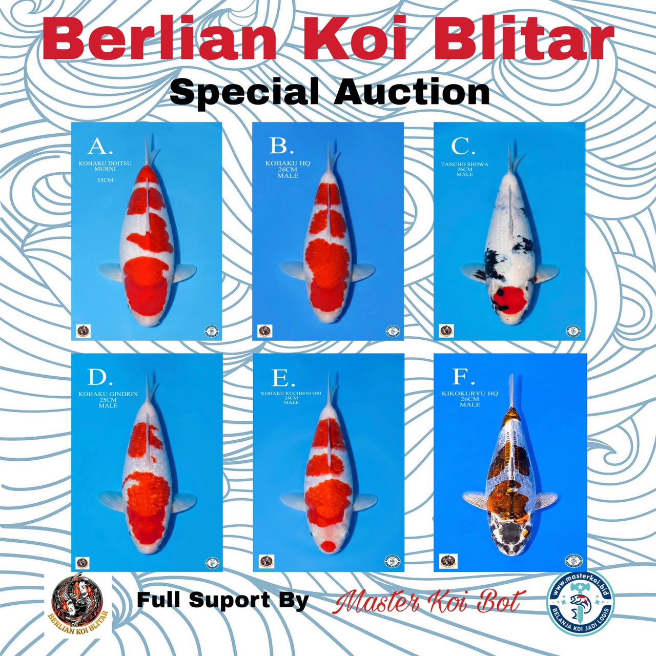 Lelang Koi Online, Jual Beli Ikan Koi, Pasar Koi Terbaik, Agen Lelang Koi, Penawaran Koi Berkualitas, Harga Jual Koi, Lelang Ikan Koi Import, Beli Koi Online, Jual Koi Murah, Koi Showroom, Penjual Koi Terpercaya, Lelang Koi Jakarta, Jual Koi Lokal, Koi Kualitas Unggul, Harga Terbaik Koi, Jual Koi Indukan, Lelang Ikan Hias Koi, Pasar Koi Indonesia, Beli Koi Berkualitas Tinggi, Koi Farm Terbesar, Jual Beli Koi Impor, Lelang Ikan Koi Kualitas Premium, Daftar Harga Koi Terbaru, Pusat Jual Beli Koi, Info Lelang Koi Hari Ini.