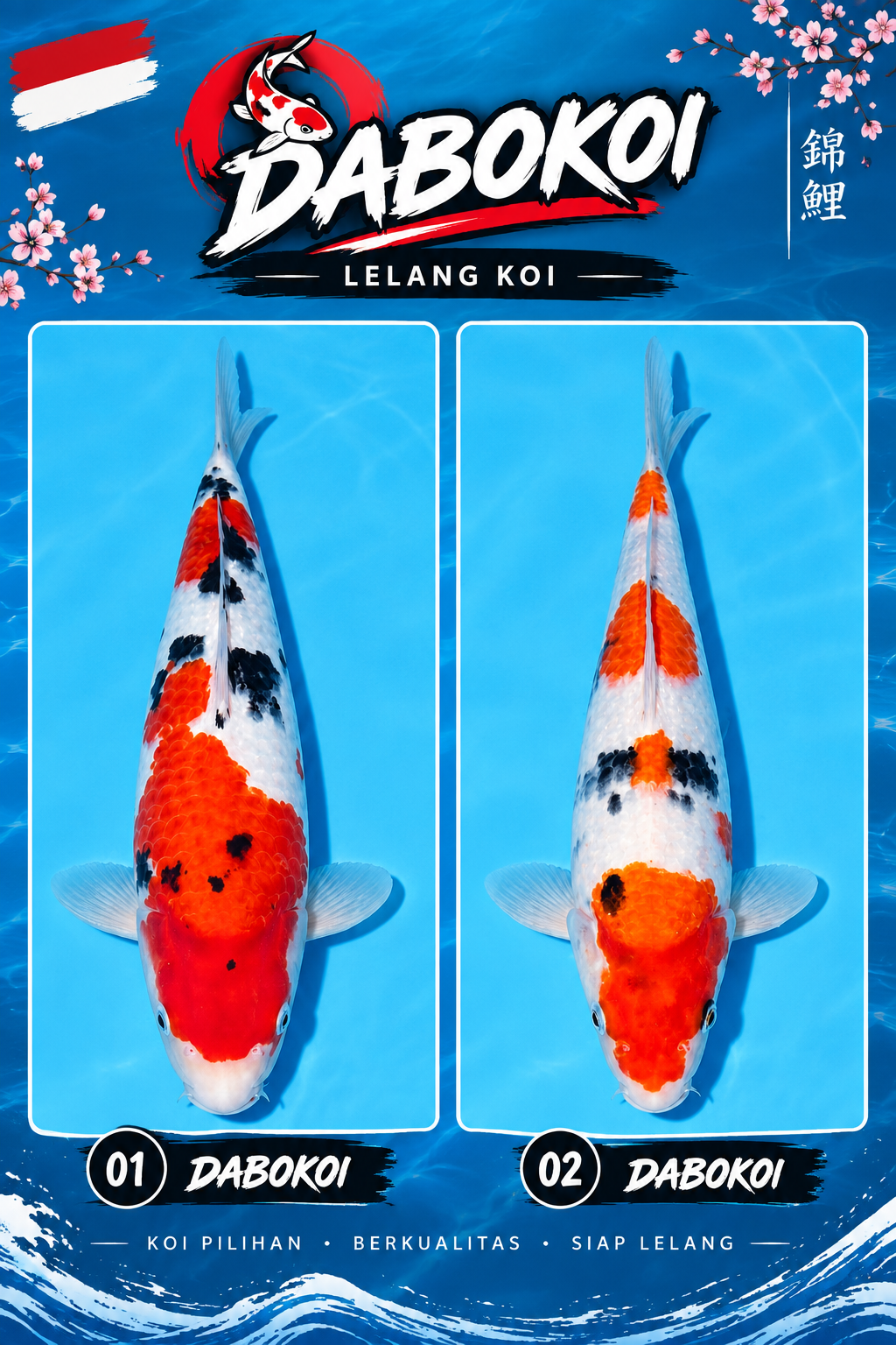 Lelang Koi Online, Jual Beli Ikan Koi, Pasar Koi Terbaik, Agen Lelang Koi, Penawaran Koi Berkualitas, Harga Jual Koi, Lelang Ikan Koi Import, Beli Koi Online, Jual Koi Murah, Koi Showroom, Penjual Koi Terpercaya, Lelang Koi Jakarta, Jual Koi Lokal, Koi Kualitas Unggul, Harga Terbaik Koi, Jual Koi Indukan, Lelang Ikan Hias Koi, Pasar Koi Indonesia, Beli Koi Berkualitas Tinggi, Koi Farm Terbesar, Jual Beli Koi Impor, Lelang Ikan Koi Kualitas Premium, Daftar Harga Koi Terbaru, Pusat Jual Beli Koi, Info Lelang Koi Hari Ini.