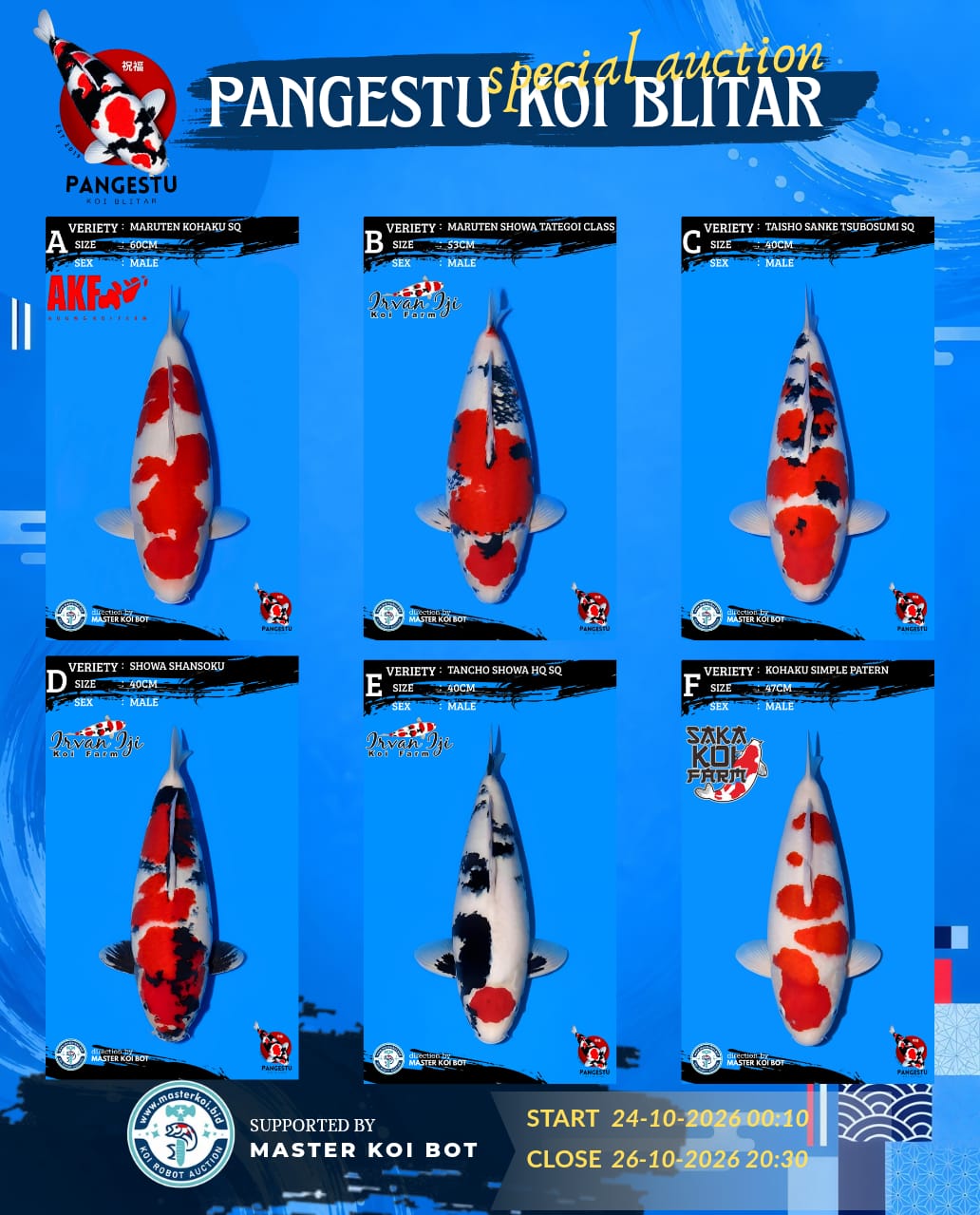 Lelang Koi Online, Jual Beli Ikan Koi, Pasar Koi Terbaik, Agen Lelang Koi, Penawaran Koi Berkualitas, Harga Jual Koi, Lelang Ikan Koi Import, Beli Koi Online, Jual Koi Murah, Koi Showroom, Penjual Koi Terpercaya, Lelang Koi Jakarta, Jual Koi Lokal, Koi Kualitas Unggul, Harga Terbaik Koi, Jual Koi Indukan, Lelang Ikan Hias Koi, Pasar Koi Indonesia, Beli Koi Berkualitas Tinggi, Koi Farm Terbesar, Jual Beli Koi Impor, Lelang Ikan Koi Kualitas Premium, Daftar Harga Koi Terbaru, Pusat Jual Beli Koi, Info Lelang Koi Hari Ini.