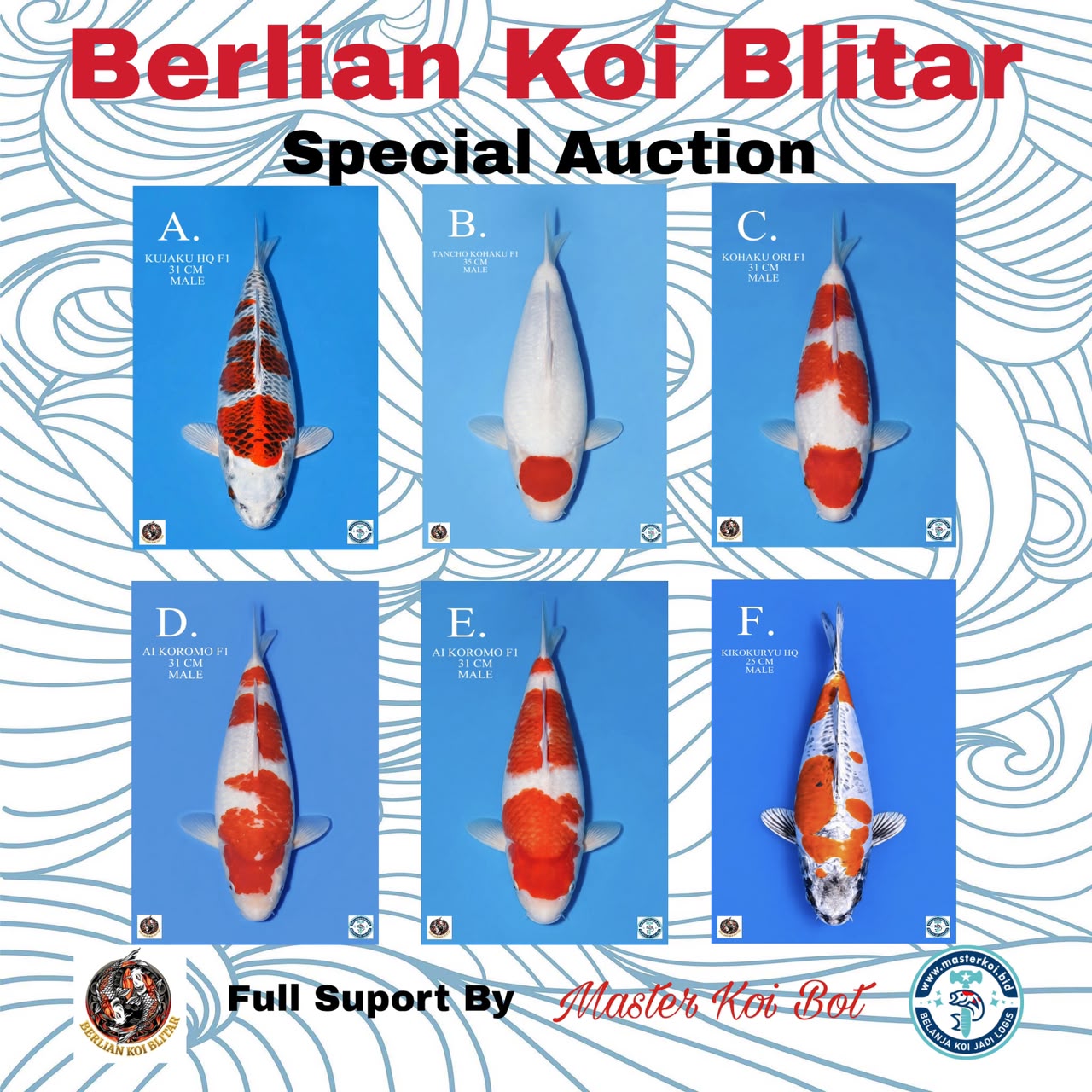 Lelang Koi Online, Jual Beli Ikan Koi, Pasar Koi Terbaik, Agen Lelang Koi, Penawaran Koi Berkualitas, Harga Jual Koi, Lelang Ikan Koi Import, Beli Koi Online, Jual Koi Murah, Koi Showroom, Penjual Koi Terpercaya, Lelang Koi Jakarta, Jual Koi Lokal, Koi Kualitas Unggul, Harga Terbaik Koi, Jual Koi Indukan, Lelang Ikan Hias Koi, Pasar Koi Indonesia, Beli Koi Berkualitas Tinggi, Koi Farm Terbesar, Jual Beli Koi Impor, Lelang Ikan Koi Kualitas Premium, Daftar Harga Koi Terbaru, Pusat Jual Beli Koi, Info Lelang Koi Hari Ini.