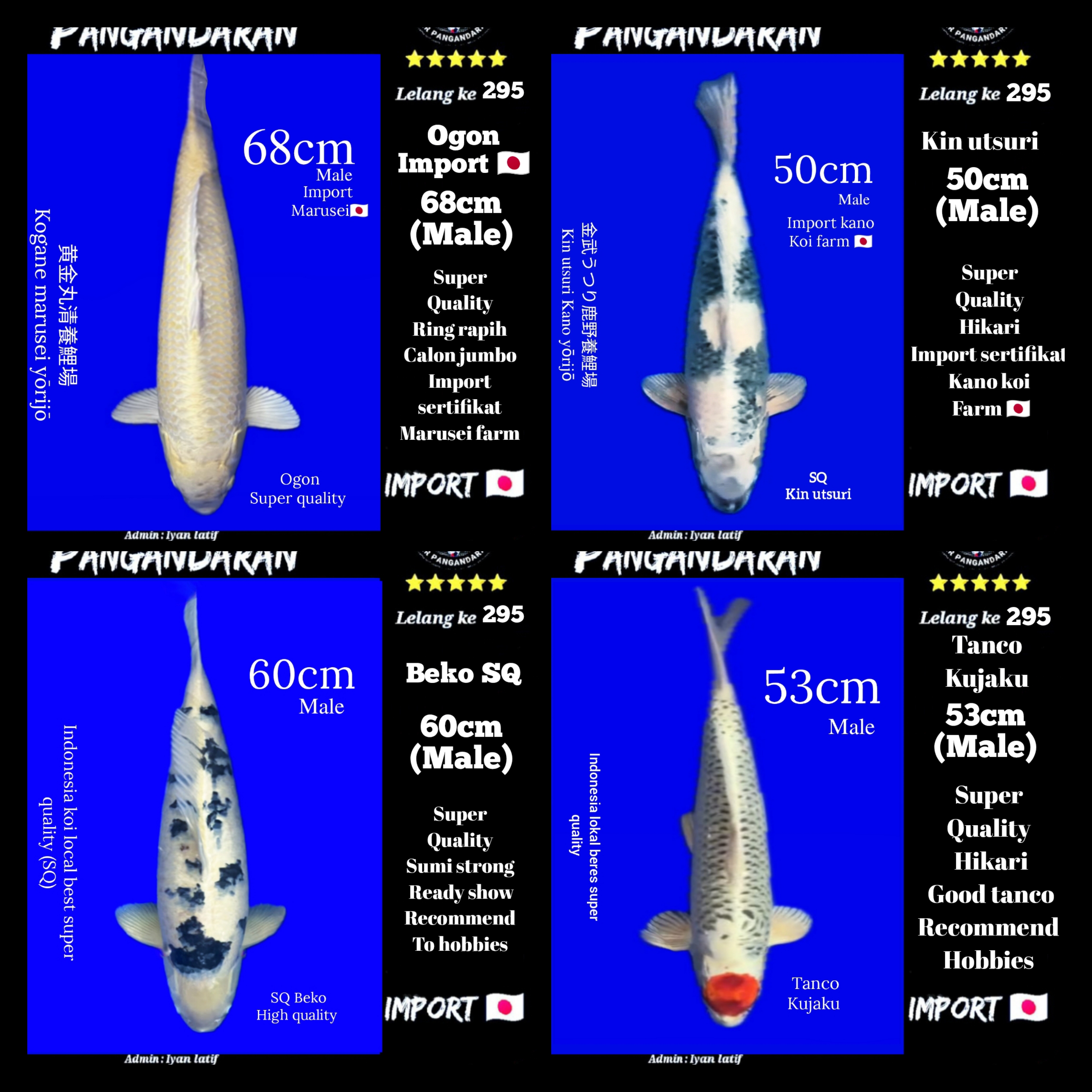 Lelang Koi Online, Jual Beli Ikan Koi, Pasar Koi Terbaik, Agen Lelang Koi, Penawaran Koi Berkualitas, Harga Jual Koi, Lelang Ikan Koi Import, Beli Koi Online, Jual Koi Murah, Koi Showroom, Penjual Koi Terpercaya, Lelang Koi Jakarta, Jual Koi Lokal, Koi Kualitas Unggul, Harga Terbaik Koi, Jual Koi Indukan, Lelang Ikan Hias Koi, Pasar Koi Indonesia, Beli Koi Berkualitas Tinggi, Koi Farm Terbesar, Jual Beli Koi Impor, Lelang Ikan Koi Kualitas Premium, Daftar Harga Koi Terbaru, Pusat Jual Beli Koi, Info Lelang Koi Hari Ini.