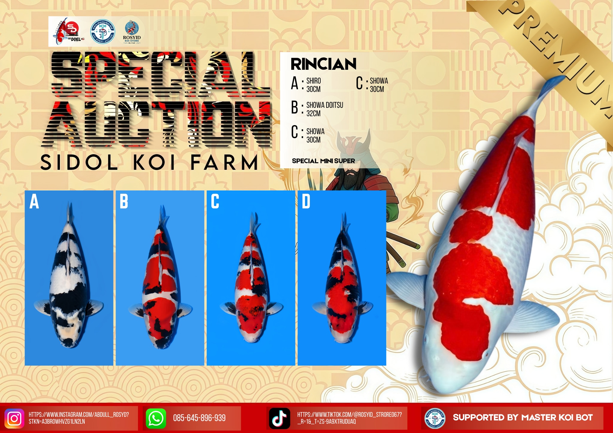 Lelang Koi Online, Jual Beli Ikan Koi, Pasar Koi Terbaik, Agen Lelang Koi, Penawaran Koi Berkualitas, Harga Jual Koi, Lelang Ikan Koi Import, Beli Koi Online, Jual Koi Murah, Koi Showroom, Penjual Koi Terpercaya, Lelang Koi Jakarta, Jual Koi Lokal, Koi Kualitas Unggul, Harga Terbaik Koi, Jual Koi Indukan, Lelang Ikan Hias Koi, Pasar Koi Indonesia, Beli Koi Berkualitas Tinggi, Koi Farm Terbesar, Jual Beli Koi Impor, Lelang Ikan Koi Kualitas Premium, Daftar Harga Koi Terbaru, Pusat Jual Beli Koi, Info Lelang Koi Hari Ini.