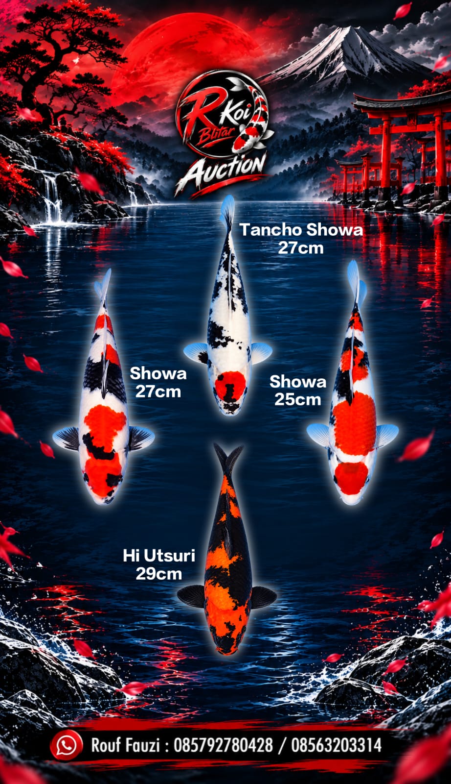 Lelang Koi Online, Jual Beli Ikan Koi, Pasar Koi Terbaik, Agen Lelang Koi, Penawaran Koi Berkualitas, Harga Jual Koi, Lelang Ikan Koi Import, Beli Koi Online, Jual Koi Murah, Koi Showroom, Penjual Koi Terpercaya, Lelang Koi Jakarta, Jual Koi Lokal, Koi Kualitas Unggul, Harga Terbaik Koi, Jual Koi Indukan, Lelang Ikan Hias Koi, Pasar Koi Indonesia, Beli Koi Berkualitas Tinggi, Koi Farm Terbesar, Jual Beli Koi Impor, Lelang Ikan Koi Kualitas Premium, Daftar Harga Koi Terbaru, Pusat Jual Beli Koi, Info Lelang Koi Hari Ini.