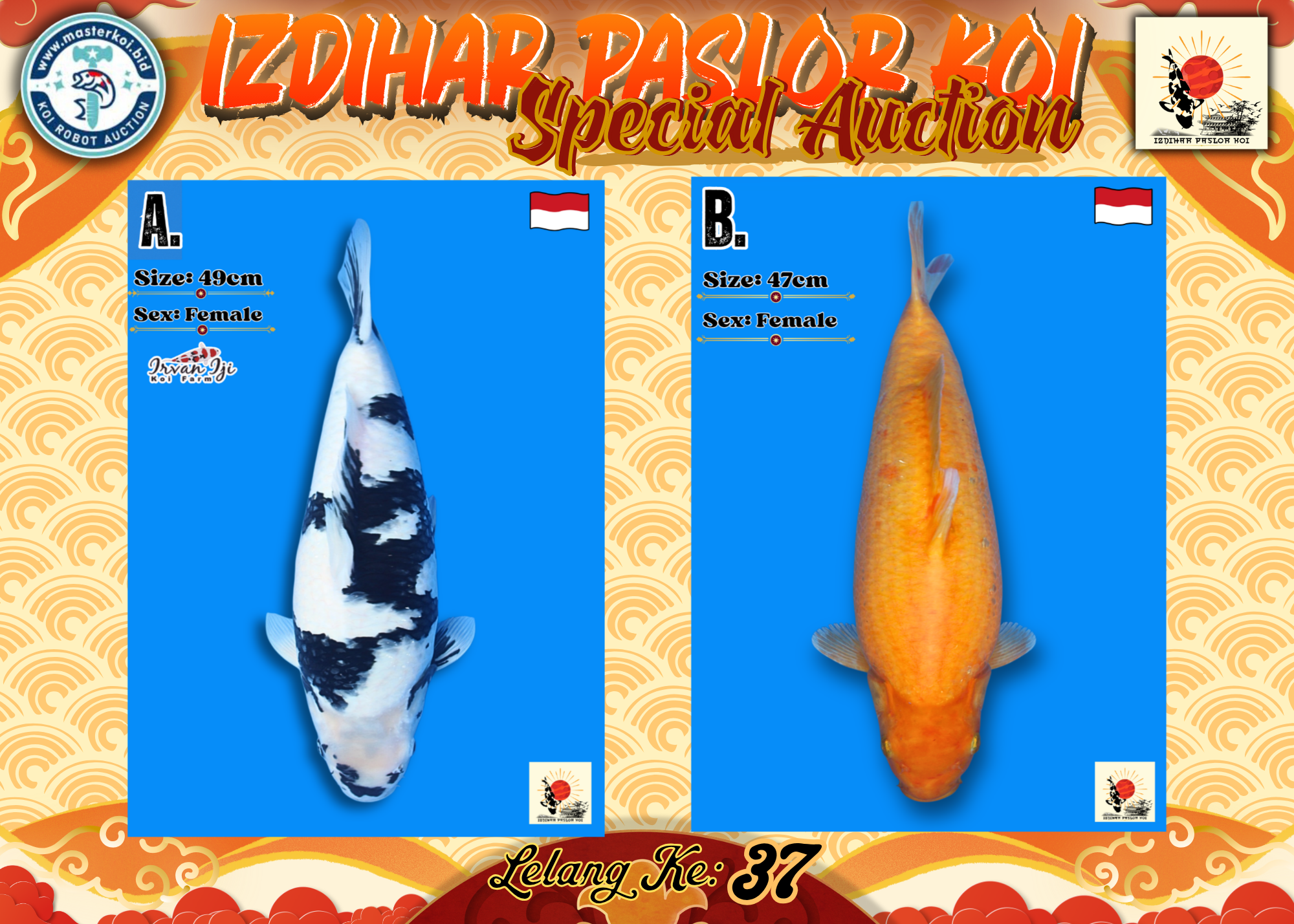 Lelang Koi Online, Jual Beli Ikan Koi, Pasar Koi Terbaik, Agen Lelang Koi, Penawaran Koi Berkualitas, Harga Jual Koi, Lelang Ikan Koi Import, Beli Koi Online, Jual Koi Murah, Koi Showroom, Penjual Koi Terpercaya, Lelang Koi Jakarta, Jual Koi Lokal, Koi Kualitas Unggul, Harga Terbaik Koi, Jual Koi Indukan, Lelang Ikan Hias Koi, Pasar Koi Indonesia, Beli Koi Berkualitas Tinggi, Koi Farm Terbesar, Jual Beli Koi Impor, Lelang Ikan Koi Kualitas Premium, Daftar Harga Koi Terbaru, Pusat Jual Beli Koi, Info Lelang Koi Hari Ini.