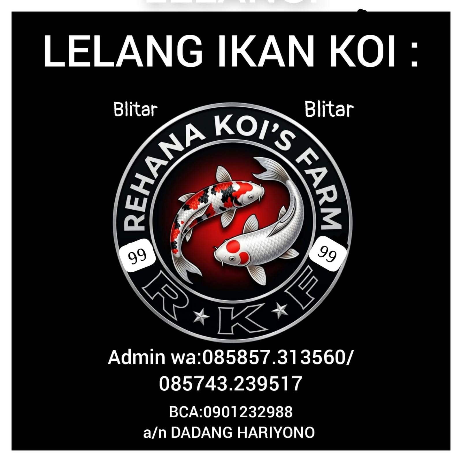 Lelang Koi Online, Jual Beli Ikan Koi, Pasar Koi Terbaik, Agen Lelang Koi, Penawaran Koi Berkualitas, Harga Jual Koi, Lelang Ikan Koi Import, Beli Koi Online, Jual Koi Murah, Koi Showroom, Penjual Koi Terpercaya, Lelang Koi Jakarta, Jual Koi Lokal, Koi Kualitas Unggul, Harga Terbaik Koi, Jual Koi Indukan, Lelang Ikan Hias Koi, Pasar Koi Indonesia, Beli Koi Berkualitas Tinggi, Koi Farm Terbesar, Jual Beli Koi Impor, Lelang Ikan Koi Kualitas Premium, Daftar Harga Koi Terbaru, Pusat Jual Beli Koi, Info Lelang Koi Hari Ini.