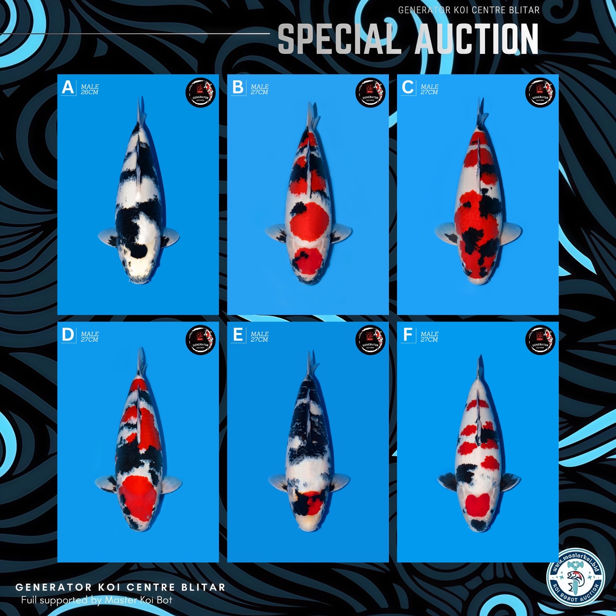 Lelang Koi Online, Jual Beli Ikan Koi, Pasar Koi Terbaik, Agen Lelang Koi, Penawaran Koi Berkualitas, Harga Jual Koi, Lelang Ikan Koi Import, Beli Koi Online, Jual Koi Murah, Koi Showroom, Penjual Koi Terpercaya, Lelang Koi Jakarta, Jual Koi Lokal, Koi Kualitas Unggul, Harga Terbaik Koi, Jual Koi Indukan, Lelang Ikan Hias Koi, Pasar Koi Indonesia, Beli Koi Berkualitas Tinggi, Koi Farm Terbesar, Jual Beli Koi Impor, Lelang Ikan Koi Kualitas Premium, Daftar Harga Koi Terbaru, Pusat Jual Beli Koi, Info Lelang Koi Hari Ini.