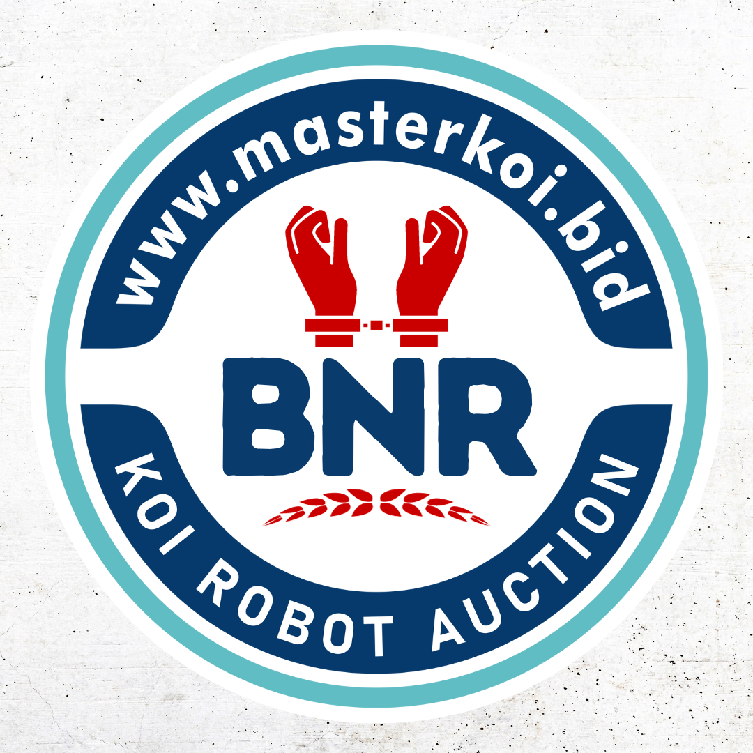 BID & RUN - Pengertian & Sanksinya - Master Koi BOT
